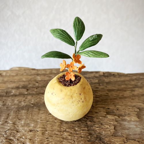 8957.bud 粘土の鉢植え キンモクセイ その他インテリア雑貨 bud