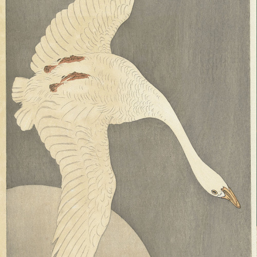 1804年 女性と白鳥のアート フランス 絵画 アート作品