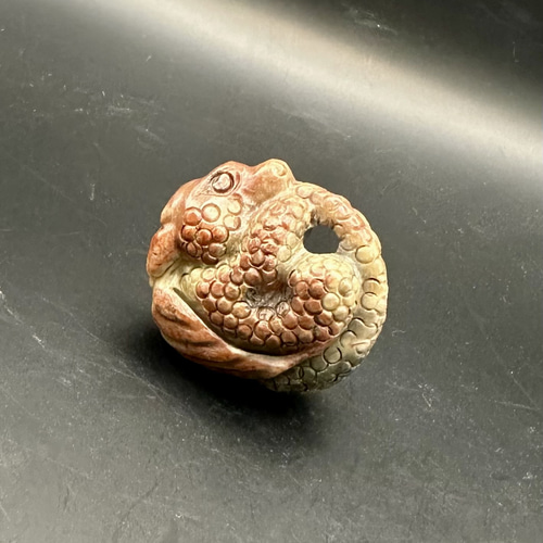 激レア 宝石質珪化木ドラゴン ネックレス・ペンダント ケンちゃんの 