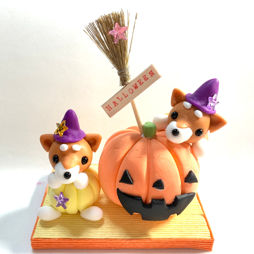 ☆ハロウィンの柴ちゃんとかぼちゃ！(受注生産) ジャックオランタン
