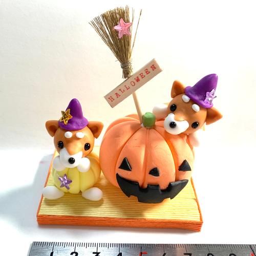 ☆ハロウィンの柴ちゃんとかぼちゃ！(受注生産) ジャックオランタン