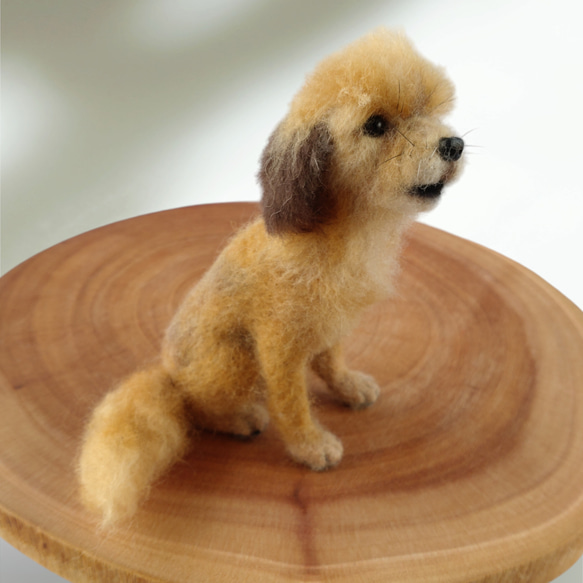 【黒の魔女と名もなき犬】羊毛フェルト　犬　人形　魔女 【黒の魔女と名もなき犬】羊毛フェルト　犬　人形　魔女 T1279409308(9750円)