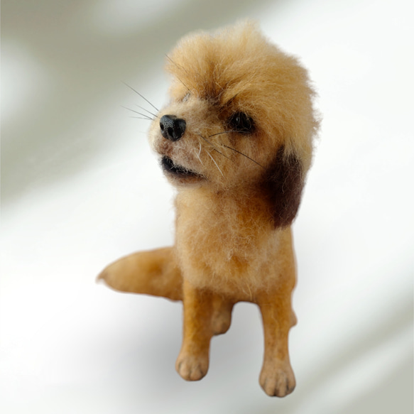 【黒の魔女と名もなき犬】羊毛フェルト　犬　人形　魔女 【黒の魔女と名もなき犬】羊毛フェルト　犬　人形　魔女 T1279409308(9750円)