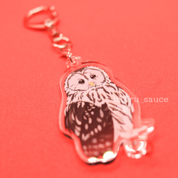 ウラルフクロウ【つながる！両面アクリルキーホルダー】 イラスト 汐夏