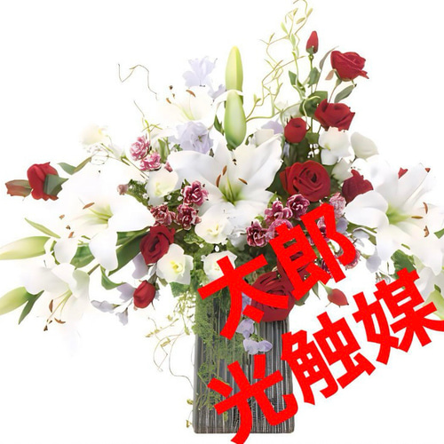 光触媒　人工観葉植物　ウォールグリーン　フェイクグリーン　エレガンスレッド 光触媒人工観葉植物ウォールグリーンフェイクグリーンエレガンス