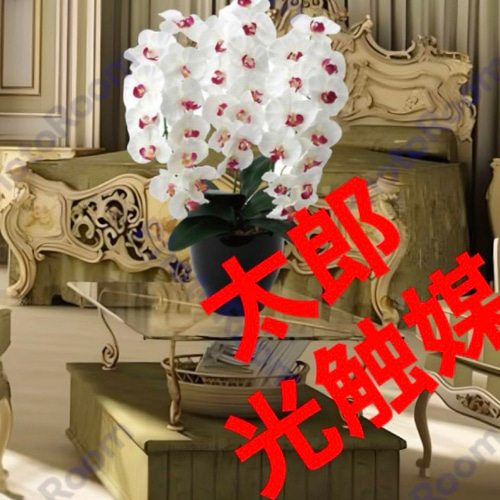 光触媒 人工観葉植物 ウォールグリーン フェイクグリーン