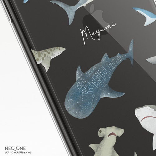 ＊サメ　オーダーページ＊ サメオーダーページ＊