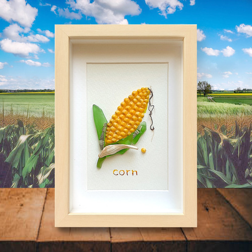 トウモロコシ〉貝殻アート その他アート moon 通販 18174340