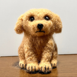 へそ天　トイプードル　クマカット　羊毛フェルト　犬　ハンドメイド　置物 へそ天 トイプードル クマカット 羊毛フェルト 犬 ハンドメイド