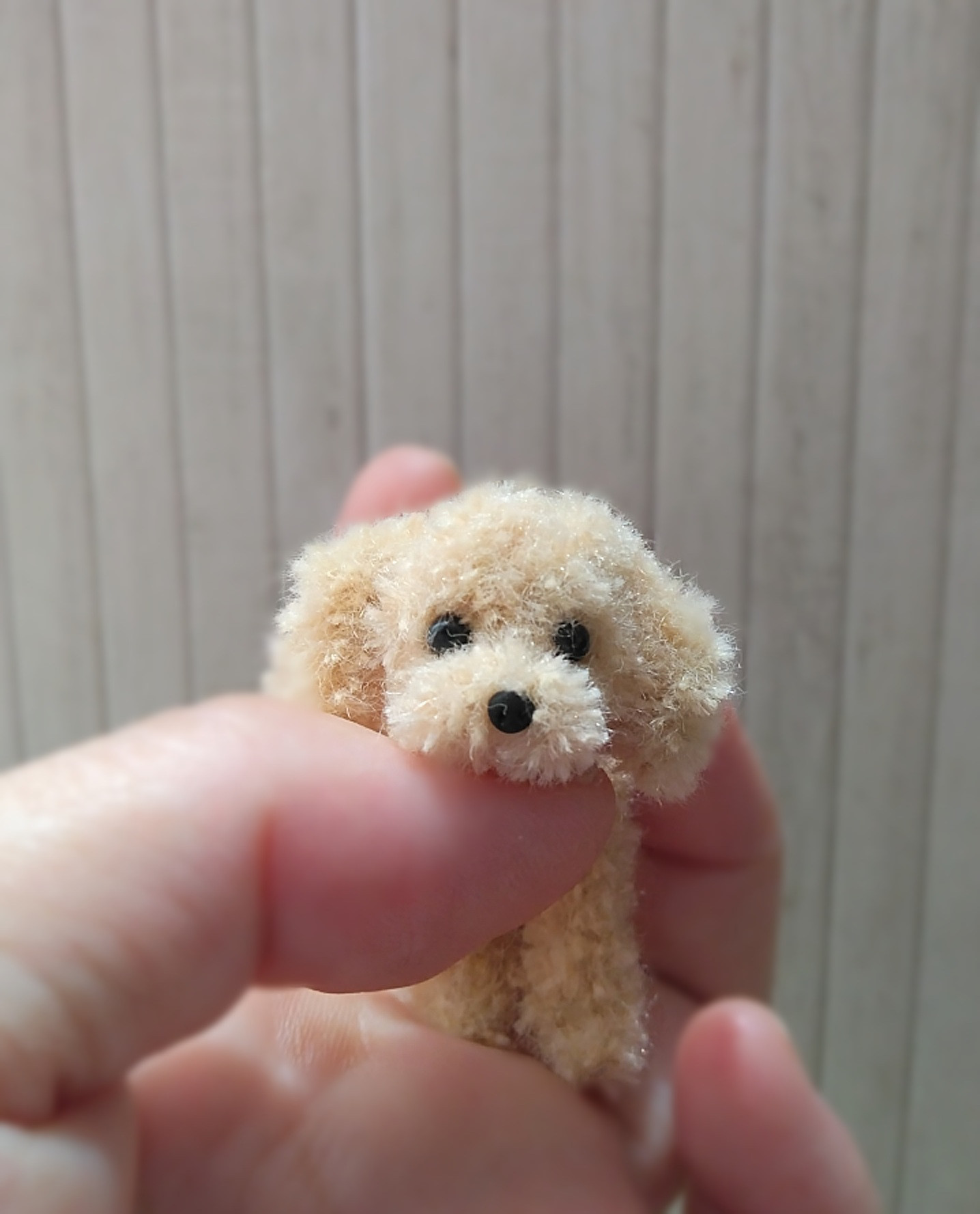 モールアート　淡いアプリコット　トイプードル