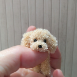 ミニチュア＊小さなトイプードル＊モールアート 小さいトイプードル（レッド) ミニチュア モールアート その他