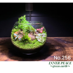 8231e6d0d4ed41c6927f3ac20c9f57