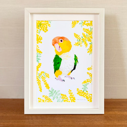 インコ 絵画 のおすすめ人気通販｜Creema(クリーマ) 国内最大の