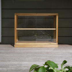 木製のショーケース/収納/アンティーク/古道具/店舗什器/パンケース