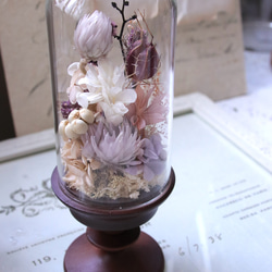 ドーム フラワー ペア 楽天市場】ランキング入賞 プリザーブドフラワー 花 ギフト ガラス
