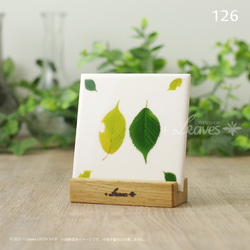 014 トランプ・ハートA（エース） 植物ポストカード【日本郵便クリック