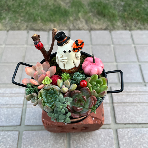 ☆送料無料☆♡そのまま飾れる♡ハロウィンの多肉植物寄せ植え╰(*´︶`*)╯♡ 多肉植物 ☆natural-advance☆ 通販|Creema(クリーマ) 18177965 ☆送料無料☆♡そのまま飾れる♡ハロウィンの多肉植物寄せ植え╰(*´︶`*)╯♡ 多肉植物 ☆natural-advance☆ 通販|Creema(クリーマ) 18177965