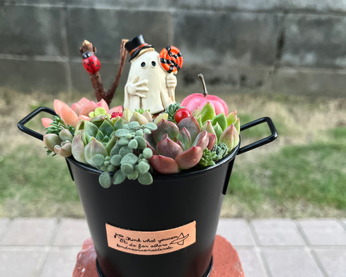 ☆送料無料☆♡そのまま飾れる♡ハロウィンの多肉植物寄せ植え