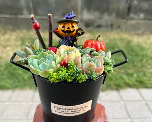 ☆送料無料☆♡そのまま飾れる♡ハロウィンの多肉植物寄せ植え