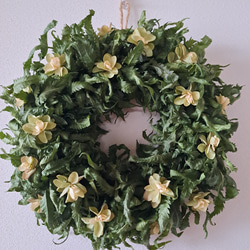 パニカムとケイトウの実ものたっぷりハーフリース シャリンバイ