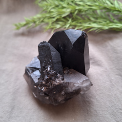 モリオン （黒水晶）クラスター 原石 ／ S―② その他インテリア