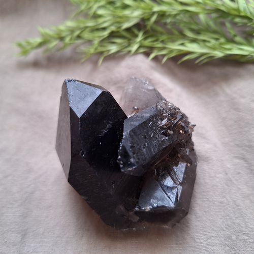モリオン （黒水晶）クラスター 原石 ／ S―② その他インテリア