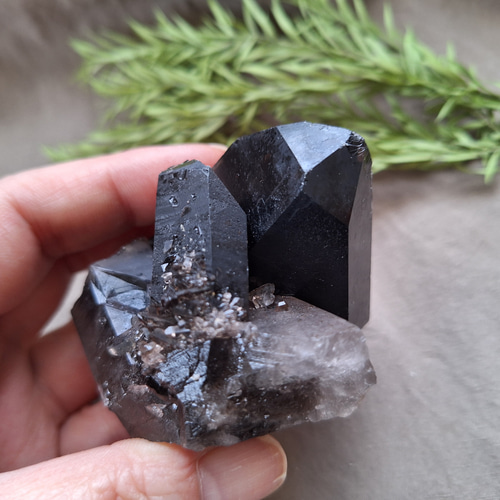 モリオン(黒水晶)クラスタ  特大 1Kgパワーストーン 天然石 山東省産 モリオン 純天然 黒水晶
