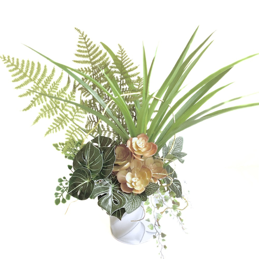 枯れない観葉　癒しのアオエニュームとオリズルラン／光触媒 7,400円