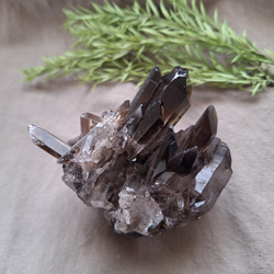 モリオン （黒水晶）六角柱 ポイント ⑦ その他インテリア雑貨 Clear