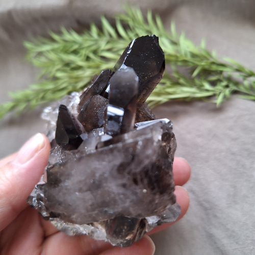 モリオン （黒水晶）クラスター 原石 ／ S―③ その他インテリア雑貨