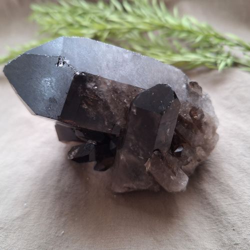 モリオン （黒水晶）クラスター 原石 ／ M―① その他インテリア雑貨