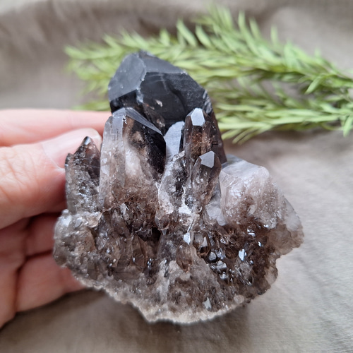 モリオン （黒水晶）クラスター 原石 ／ M―① その他インテリア