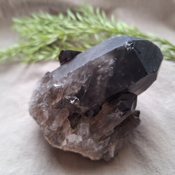 モリオン （黒水晶）クラスター 原石 ／ M―① その他インテリア雑貨