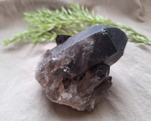 モリオンポイントクラスター原石No.1698 約1kg 27.8Kg 山東省産 モリオン 純天然 黒水晶 クラスター同梱不可