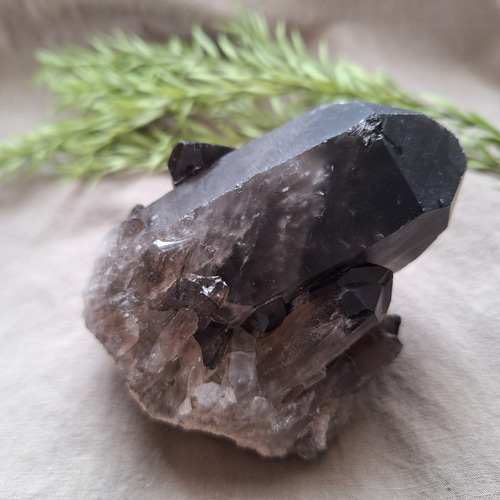 楽天市場】4.8Kg モリオン 原石 黒水晶 原石 山東省産 morion