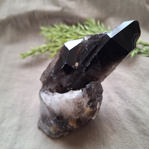 【天然石】黒水晶 モリオン クラスター 原石 モリオン （黒水晶）クラスター 原石 ／ L―① その他インテリア