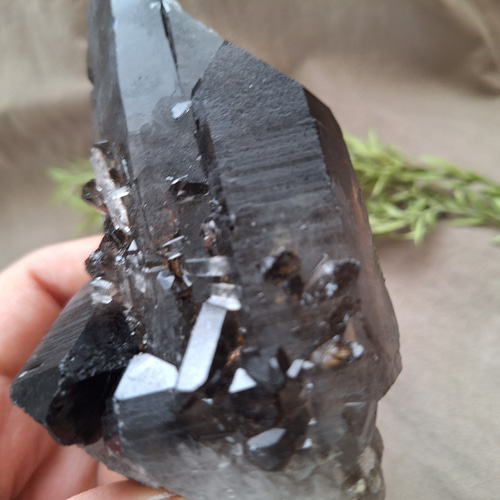 モリオン （黒水晶）クラスター 原石 ／ L―① その他インテリア雑貨