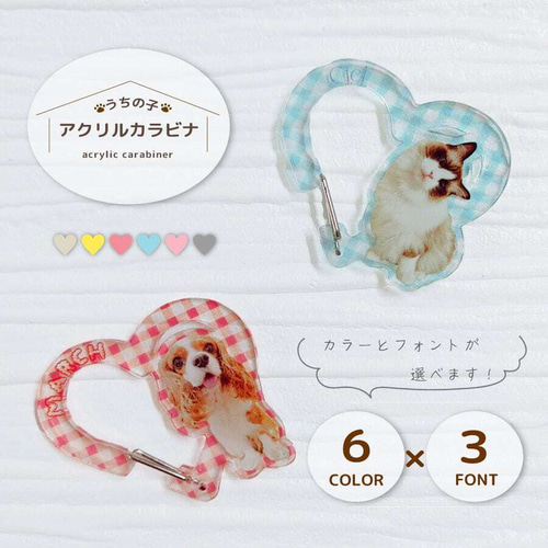 アクリルカラビナ ペット 写真入り 名入れ アクキー うちの子 ペット  