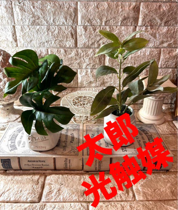 配送 光触媒 人工観葉植物 ウォールグリーン フェイクグリーン