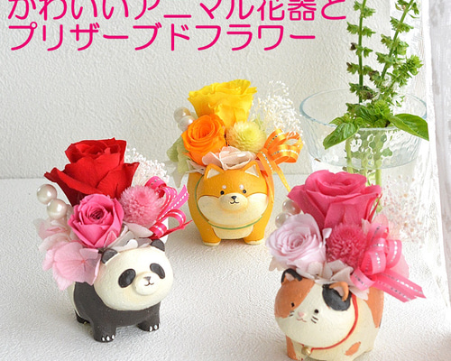 【新着商品】プリザーブドフラワー 母の日 猫 バラ 誕生日プレゼント お祝い 退 Amazon｜Utihana プリザーブドフラワー 母の日 猫 バラ 誕生日