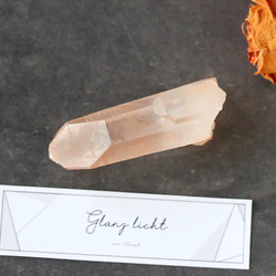 自然の絵画】デンドリティックカルサイトタワー その他置物