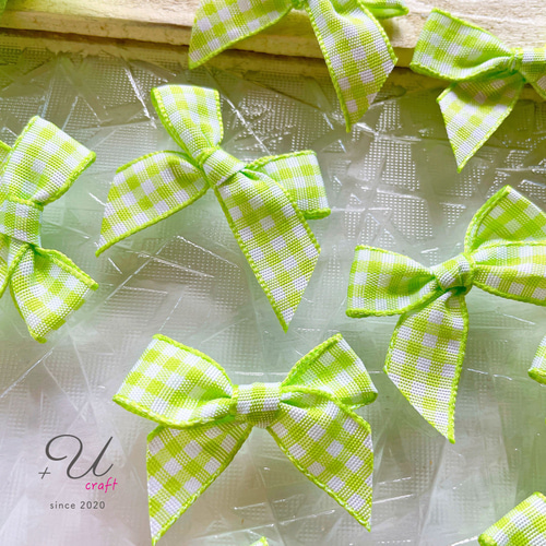 チェックリボン水着Check Ribbon pastel green Check Ribbon Dress/チェックリボンドレス