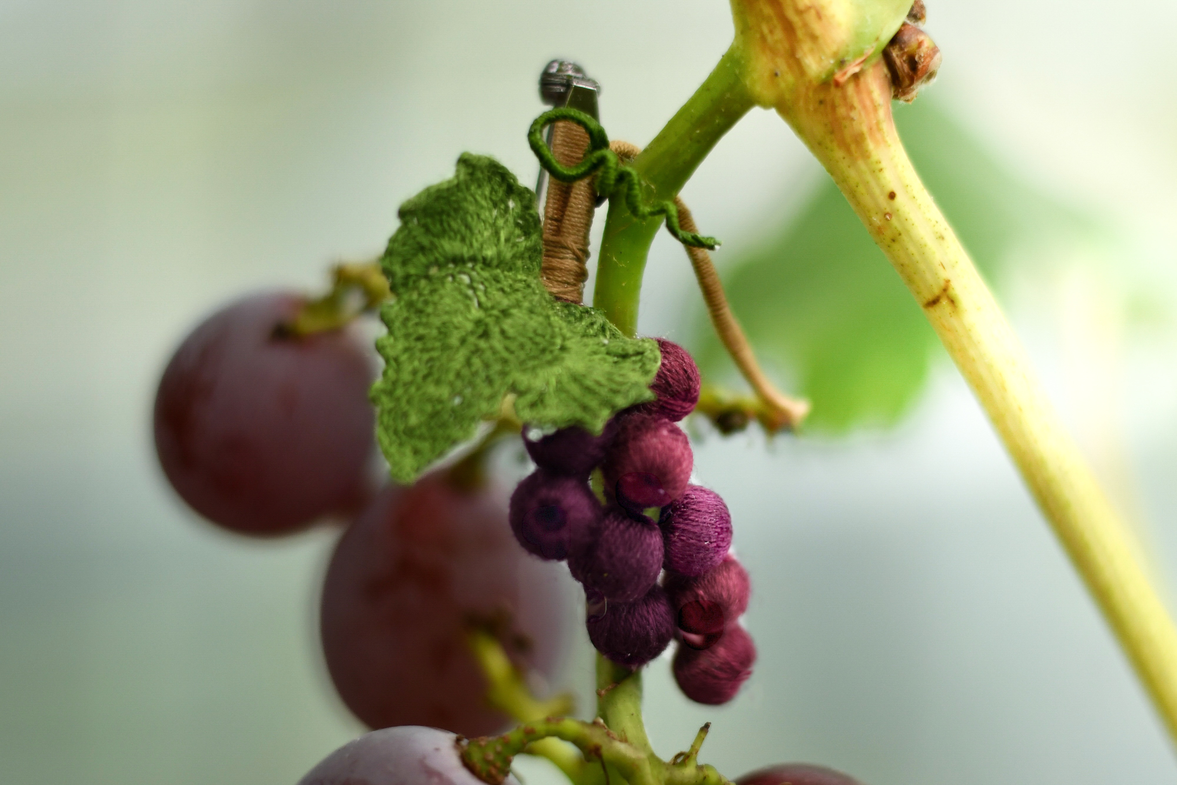 【受注制作20日】ブローチ　実る、葡萄　手編み　レース編み