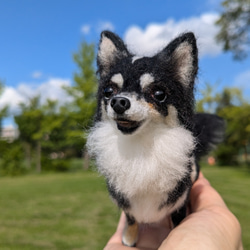 展示品【あま〜い♡】 柴犬 豆柴【フォトフレーム内寸8.5cm】羊毛