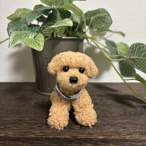 送料込み♡トイプードルアプリコットちゃん。 e13a94db97ced31d4ff442302de985