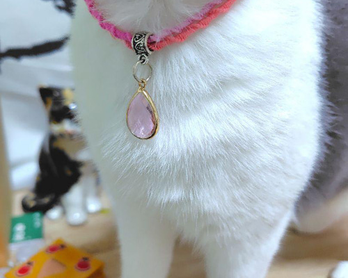 グレードットわんちゃん猫ちゃん用襟付き首輪 猫ちゃん専用の付け襟首輪 イギリスファブリックの千鳥格子 | full