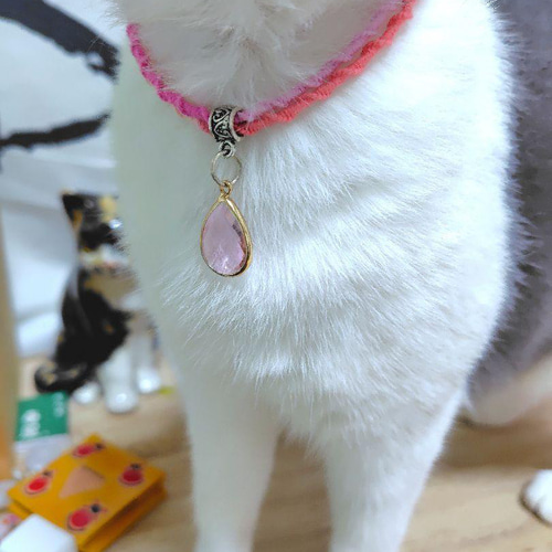 ブラック系(①)わんちゃん猫ちゃん用襟つき首輪 ゴスロリ風(ブラック)わんちゃん猫ちゃん用襟つき首輪