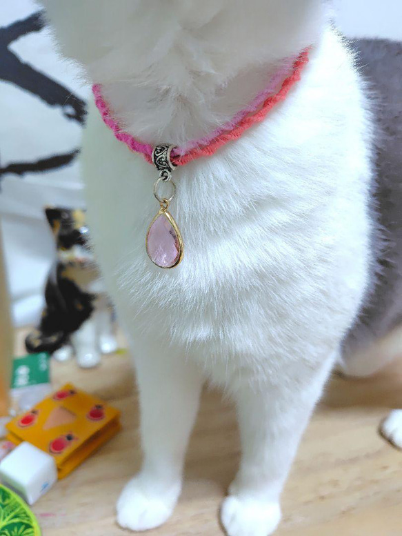 軽くて擦れない】猫ちゃん・わんちゃん ネックレス 首輪 換毛期