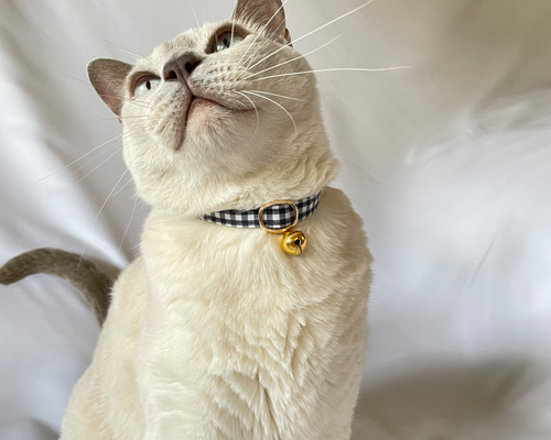 最新 首輪 猫の日2025】猫 | ネコちゃん用 XS 白黒ギンガムチェック その他