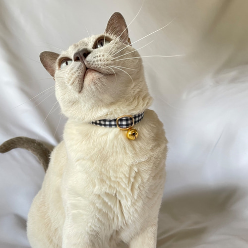猫の日2025】猫 首輪 | 白黒ギンガムチェック XS ネコちゃん用